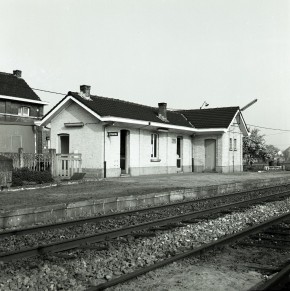 Tisselt-Blaasveld - Z02876 (2).jpg